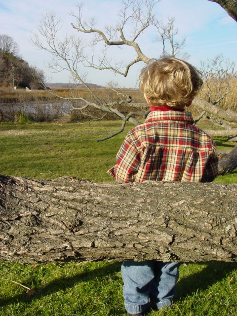 Click for original image 893k 1200x1600